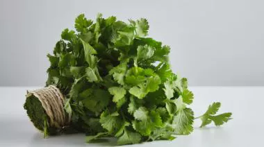 garnishing-instructions-image